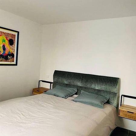 Apartament Toulouse Centre 4 Couchages Zewnętrze zdjęcie