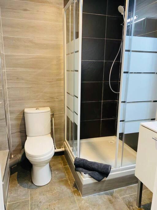 Apartament Toulouse Centre 4 Couchages Zewnętrze zdjęcie